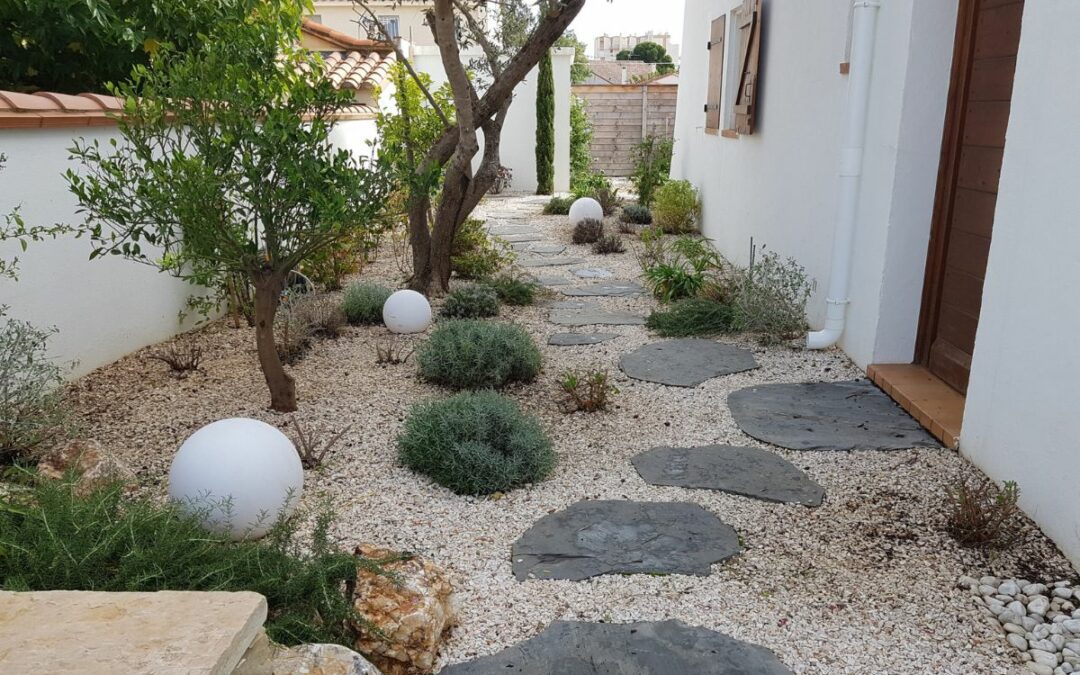 Créer un Jardin Méditerranéen Résistant à la Sécheresse